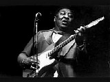 Muddy Waters - 1978.11.18 - Pavilion de Paris, Paris, FR