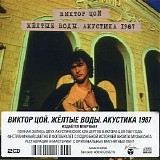 Виктор Цой - Жёлтые Воды. Акустика 1987