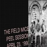 Field Mice, The - Peel Session