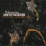 Throwing Muses - Bright Yellow Gun