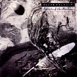 Sylvian, David - Secrets Of The Beehive