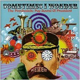 Various Artists - Sometimes I Wonder