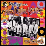 Various Artists - Fuzz, Flaykes And Shakes