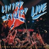 Lynyrd Skynyrd (2) - Live - Tribute Tour 1987 (Southern By The Grace Of God)