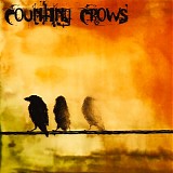 Counting Crows - Rarities