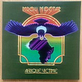 Mdou Moctar - Afrique Victime