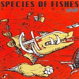 Species Of Fishes - TripTrap