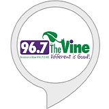 Taylor, Ben - 98.7 The Vine Session WYXL Ithaca NY