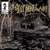 Bucketheadland - Calamity Cabin