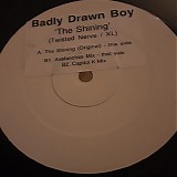 Badly Drawn Boy - The Shinning