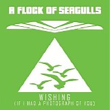 A Flock Of Seagulls - Wishing (If I Had A Photograph Of You)