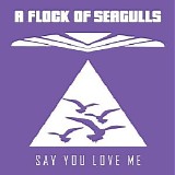 A Flock Of Seagulls - Say You Love Me