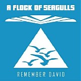 A Flock Of Seagulls - Remember David