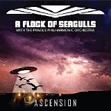 A Flock Of Seagulls - Ascension