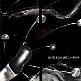 David Sylvian & Holger Czukay - Camphor