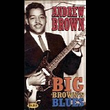 Andrew Brown - Big Brown's Blues