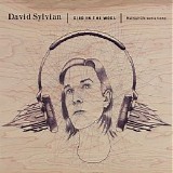 David Sylvian - Died In The Wool / Manafon Variations