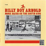 Billy Boy Arnold - More Blues On The South Side