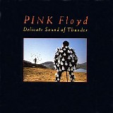 Pink Floyd - Delicate Sound Of Thunder