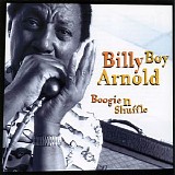 Billy Boy Arnold - Boogie 'n Shuffle