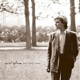 David Sylvian - Brilliant Trees