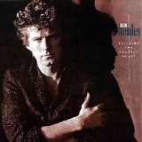 Don Henley - Building The Perfect Beast