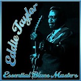 Eddie Taylor - Essential Blues Masters