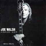 Joe Walsh - Analog Man