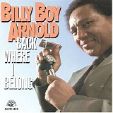 Billy Boy Arnold - Back Where I Belong