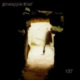 Pineapple Thief, The - 137