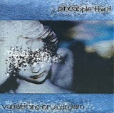 Pineapple Thief, The - Variations On A Dream