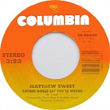 Sweet, Matthew - Blue Fools